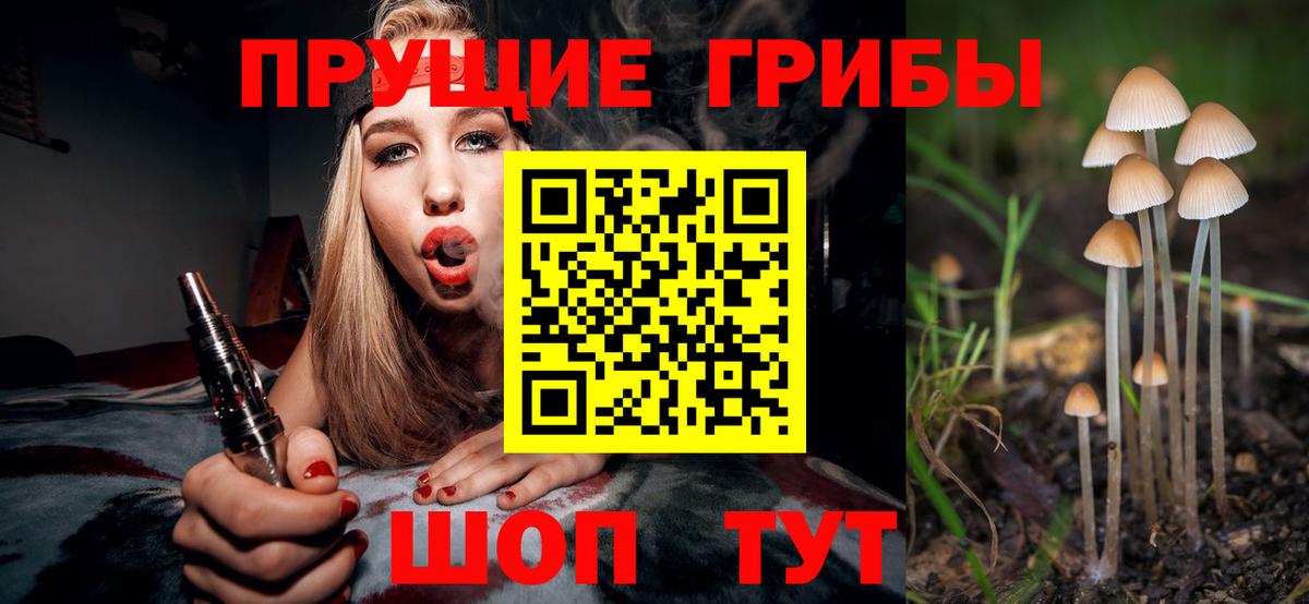 Светлоград  Галлюциногенные грибы мицелий  Псилоцибиновые грибы прущие грибы  Вход с VPN 