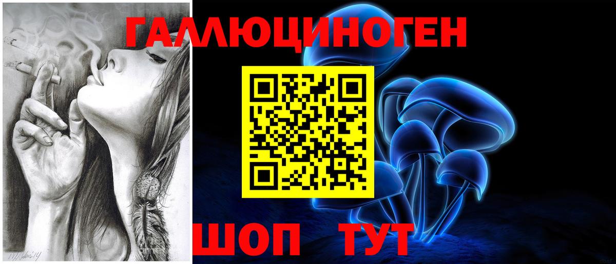 Галлюциногенные грибы мухоморы Светлоград